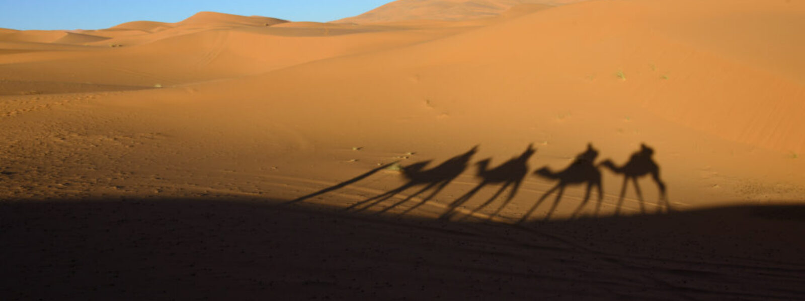 Desert Tales